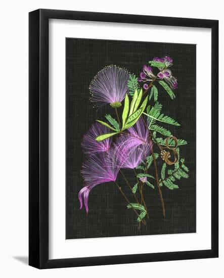 Calliandra Surinamensis II-Melissa Wang-Framed Art Print