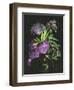 Calliandra Surinamensis II-Melissa Wang-Framed Art Print