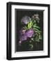 Calliandra Surinamensis II-Melissa Wang-Framed Art Print