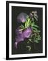 Calliandra Surinamensis II-Melissa Wang-Framed Art Print