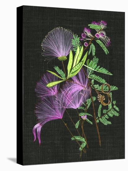 Calliandra Surinamensis II-Melissa Wang-Stretched Canvas