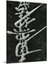 Calligraphy, Japan, 1970-Brett Weston-Mounted Photographic Print