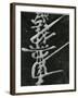 Calligraphy, Japan, 1970-Brett Weston-Framed Premium Photographic Print