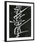 Calligraphy, Japan, 1970-Brett Weston-Framed Premium Photographic Print