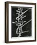 Calligraphy, Japan, 1970-Brett Weston-Framed Photographic Print