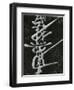 Calligraphy, Japan, 1970-Brett Weston-Framed Photographic Print