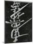 Calligraphy, Japan, 1970-Brett Weston-Mounted Photographic Print