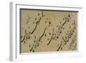 White Frame