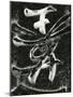 Calligraphy On Tombstone, Hawaii, 1979-Brett Weston-Mounted Photographic Print