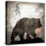 Calling Bear-LightBoxJournal-Stretched Canvas