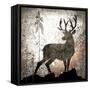 Calling Deer-LightBoxJournal-Framed Stretched Canvas