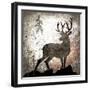 Calling Deer-LightBoxJournal-Framed Giclee Print