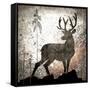 Calling Deer-LightBoxJournal-Framed Stretched Canvas