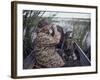 Calling Ducks-null-Framed Photographic Print