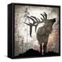 Calling Elk-LightBoxJournal-Framed Stretched Canvas