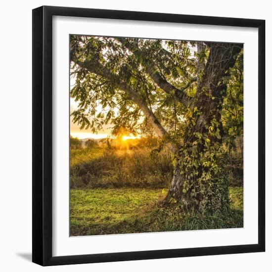 Calling It a Day-Danny Head-Framed Art Print