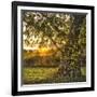 Calling It a Day-Danny Head-Framed Art Print