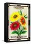 Calliopsis Seed Packet-Lantern Press-Framed Stretched Canvas
