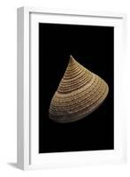Calliostoma Selecta-Paul Starosta-Framed Photographic Print