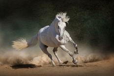 Horses with Long Mane Portrait Run Gallop in Desert Dust-Callipso-Photographic Print