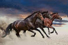 Horse Run Gallop-Callipso88-Framed Photographic Print