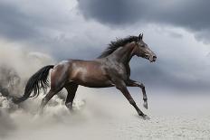 Horse Gallop in Desert-Callipso88-Framed Photographic Print