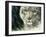 Calm before the Storm-Chuck Black-Framed Giclee Print