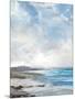 Calm Coast-Paul Duncan-Mounted Giclee Print