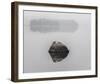 Calm Contemplation-Mikael Svensson-Framed Giclee Print