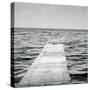 Calm Days I BW Crop-Elizabeth Urquhart-Stretched Canvas