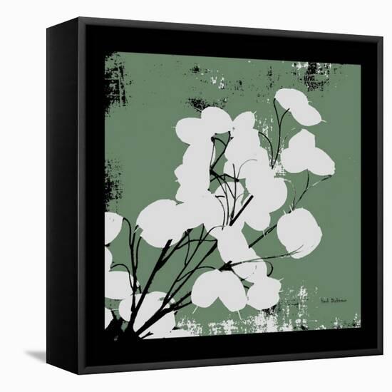 Calm Green Money Plant-Herb Dickinson-Framed Stretched Canvas