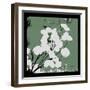 Calm Green Money Plant-Herb Dickinson-Framed Photographic Print