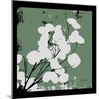 Calm Green Money Plant-Herb Dickinson-Mounted Photographic Print