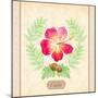 Calm Hibiscus-Lanie Loreth-Mounted Art Print