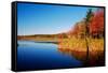 Calm Lake in New England, Connecticut, Usa-Sabine Jacobs-Framed Stretched Canvas