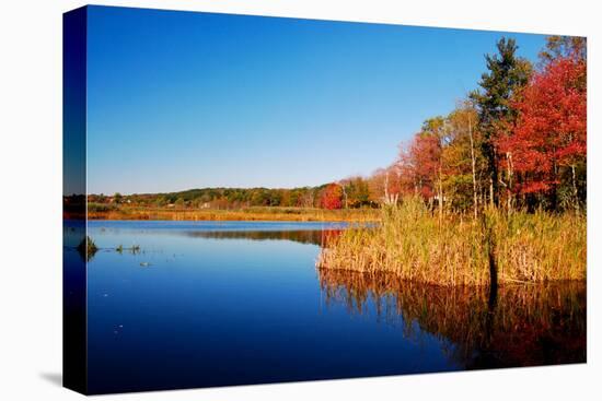 Calm Lake in New England, Connecticut, Usa-Sabine Jacobs-Stretched Canvas