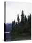 Calm Lake with Trees, Chile-Michael Brown-Stretched Canvas