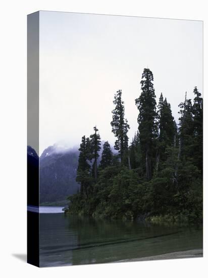 Calm Lake with Trees, Chile-Michael Brown-Stretched Canvas