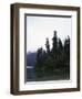 Calm Lake with Trees, Chile-Michael Brown-Framed Photographic Print