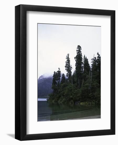 Calm Lake with Trees, Chile-Michael Brown-Framed Photographic Print