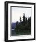 Calm Lake with Trees, Chile-Michael Brown-Framed Photographic Print