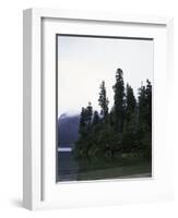 Calm Lake with Trees, Chile-Michael Brown-Framed Photographic Print