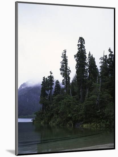 Calm Lake with Trees, Chile-Michael Brown-Mounted Photographic Print