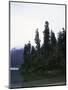 Calm Lake with Trees, Chile-Michael Brown-Mounted Photographic Print