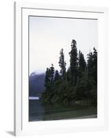 Calm Lake with Trees, Chile-Michael Brown-Framed Photographic Print