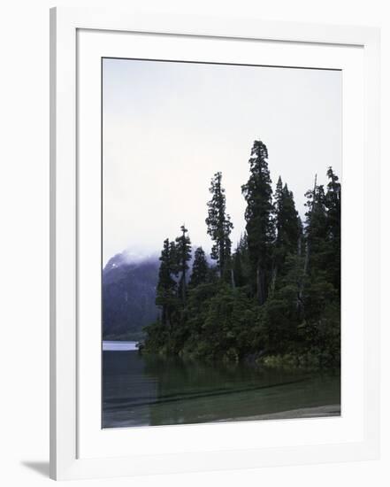 Calm Lake with Trees, Chile-Michael Brown-Framed Photographic Print