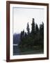 Calm Lake with Trees, Chile-Michael Brown-Framed Photographic Print
