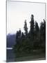 Calm Lake with Trees, Chile-Michael Brown-Mounted Photographic Print