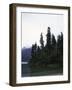 Calm Lake with Trees, Chile-Michael Brown-Framed Photographic Print