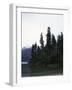 Calm Lake with Trees, Chile-Michael Brown-Framed Photographic Print